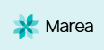 Marya Pharmaceutical Equipment - Dental product manufacturer