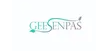 Henan Geesion Medical Devices Co., Ltd.
