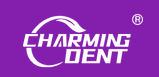 Foshan Charming Medical Instrument Co., Ltd.