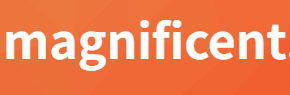 MagnifiDENT Holdings - Dental product manufacturer